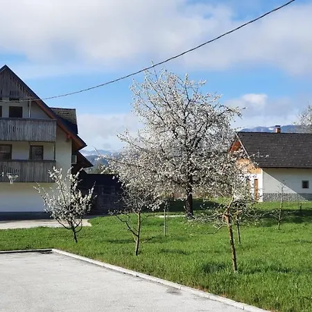 Pr' Koritnek *